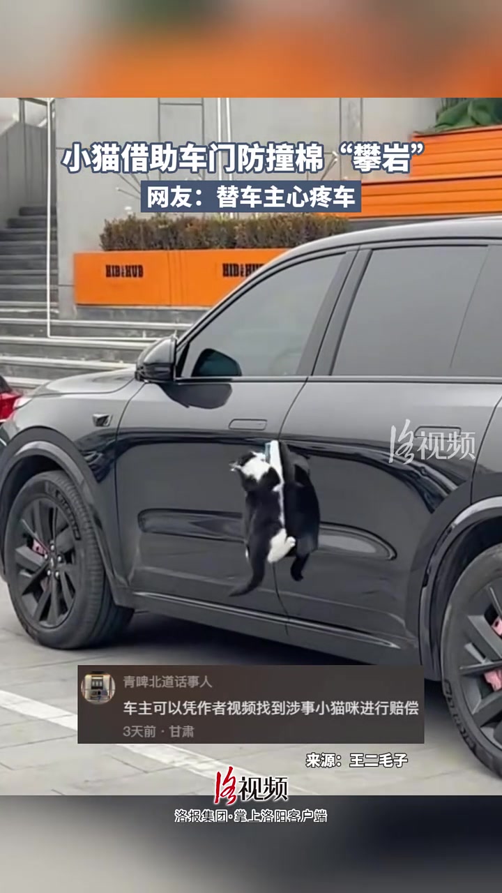 网友：替车主心疼车！车门防撞棉惨遭“攀岩”！