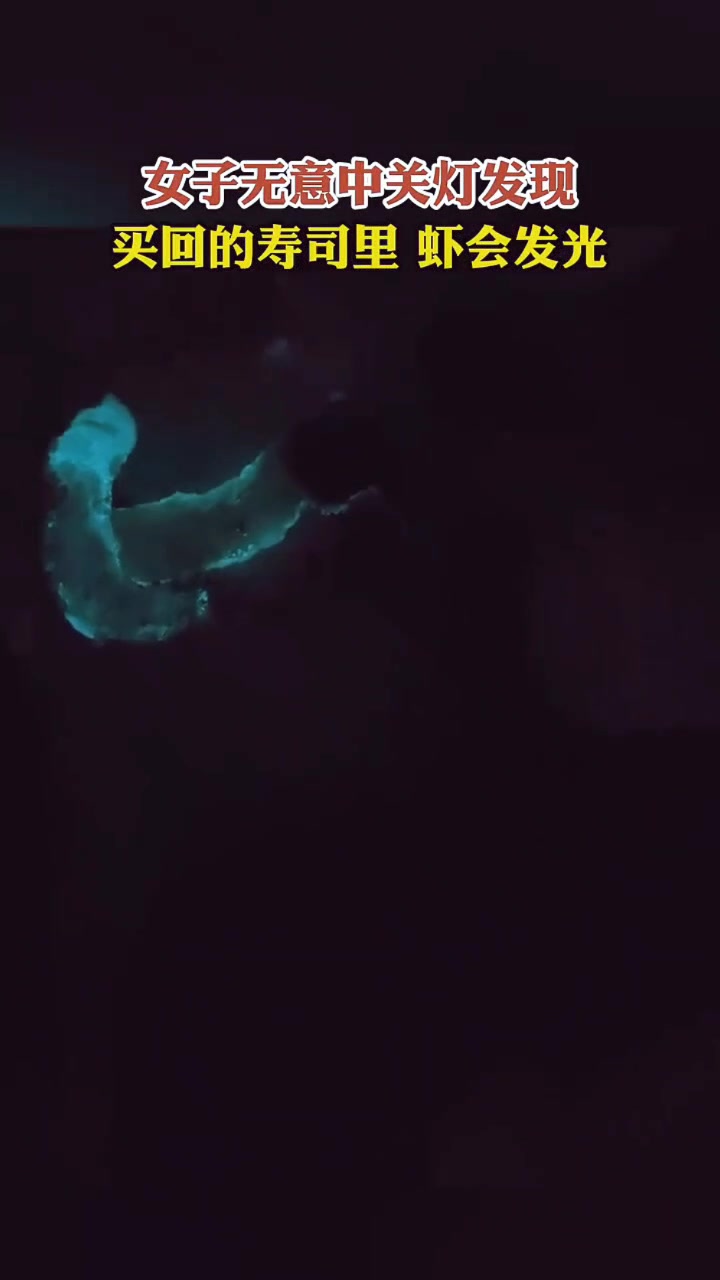 恐怖！为啥！寿司里的虾会发光！！