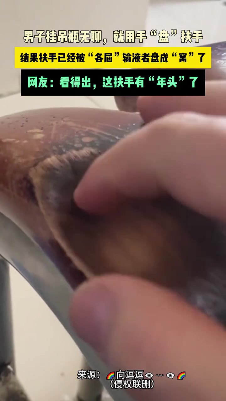 主人教育偷吃猫粮的狗遭到另一只边牧的反抗猫挺身而出