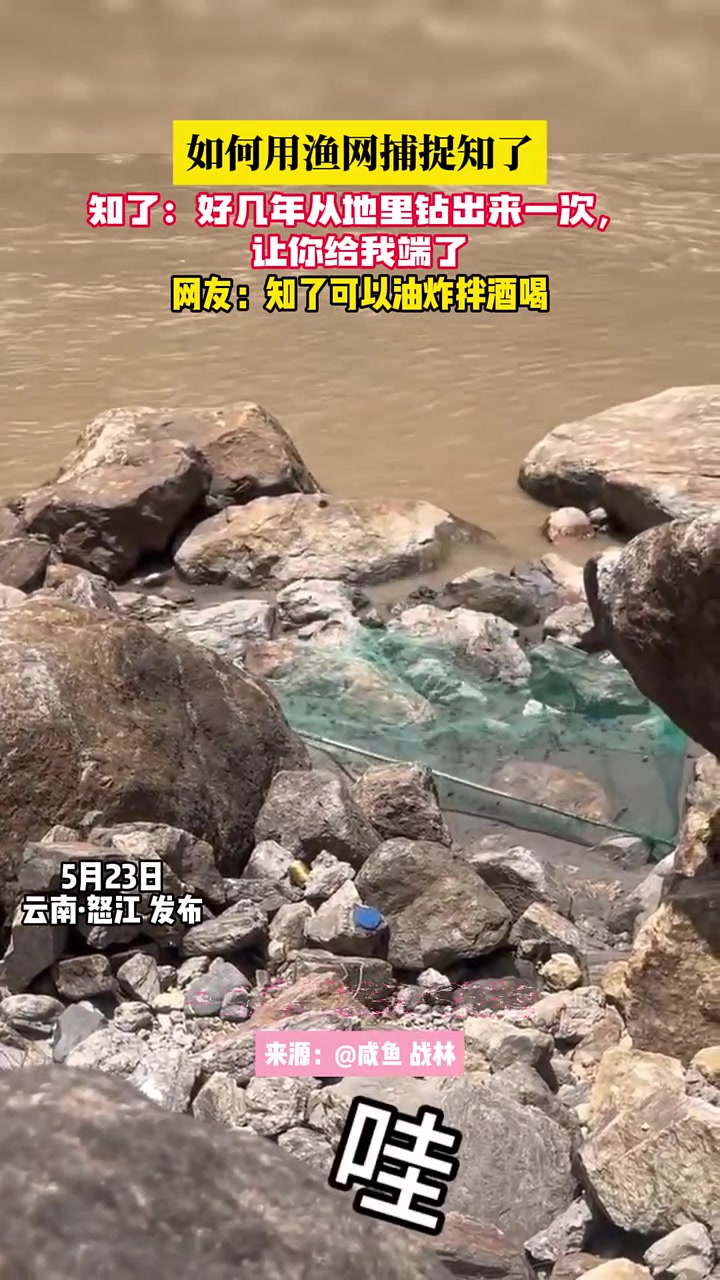 小时候做梦都会笑醒的事！对知了来简直说是降维打击！