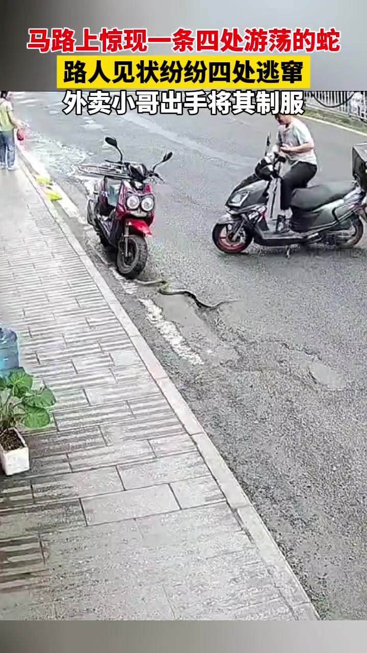 他踩的那个位置，蛇完全可以咬到他啊