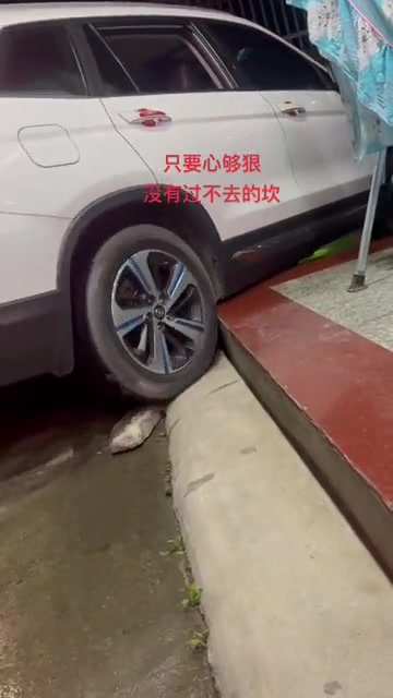 司机：只要心狠，没有过不去的坎