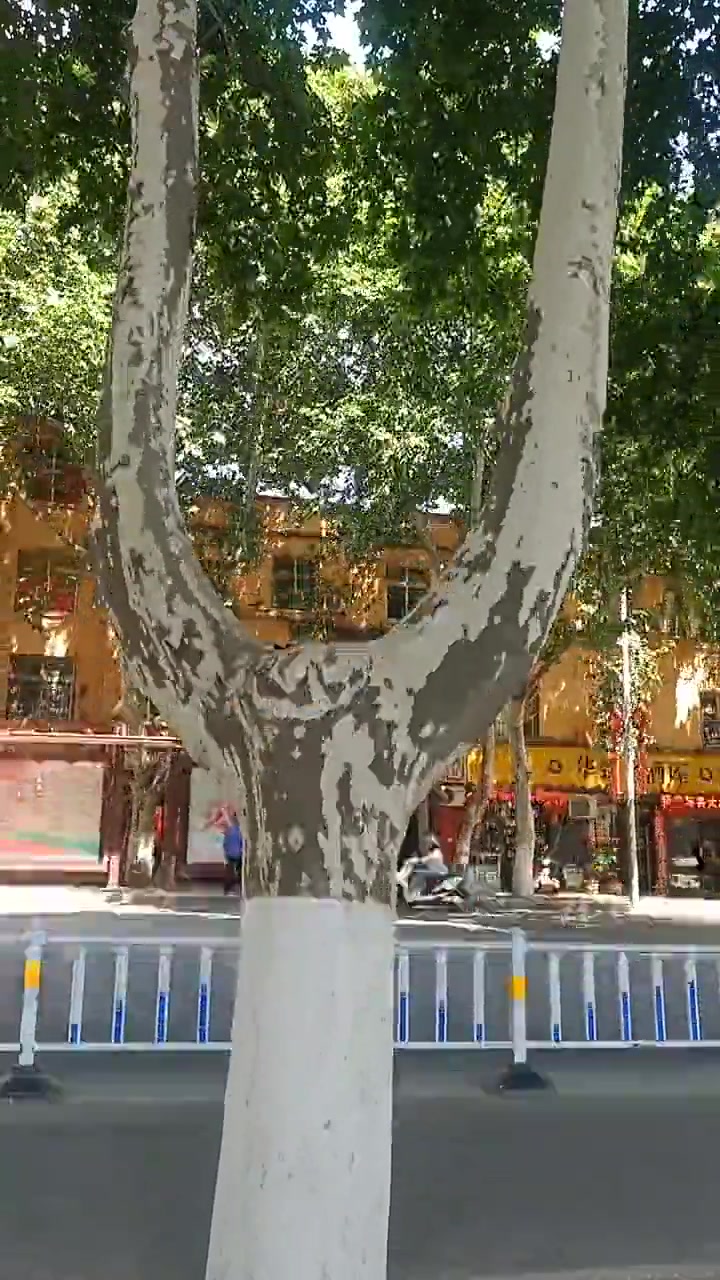 这个做弹弓都不用修理，可以直接用