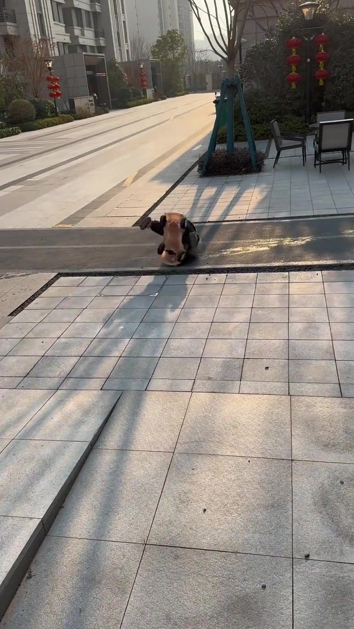 车：你骑这么久我一句话都没说，我骑你这一秒就哭了
