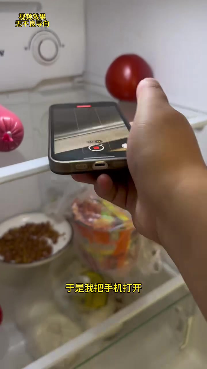 为了一探冰箱灯是怎么关的我把手机放进冰箱，结果