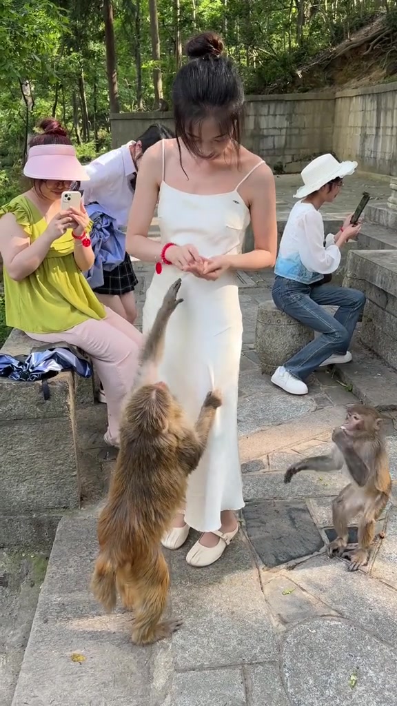 泼猴这手掌够精准的