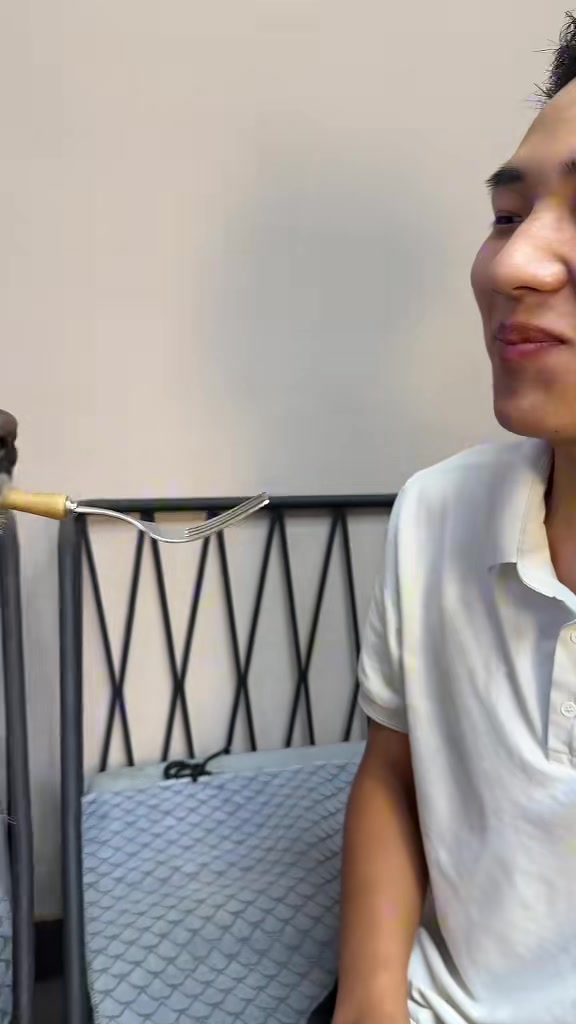 狗：不知道在暧昧什么