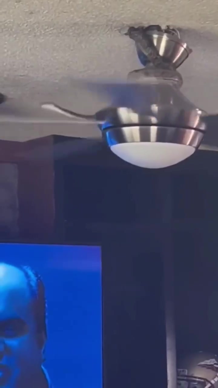 慎入！天花板上一条蛇突然被吊扇卷到你脸上