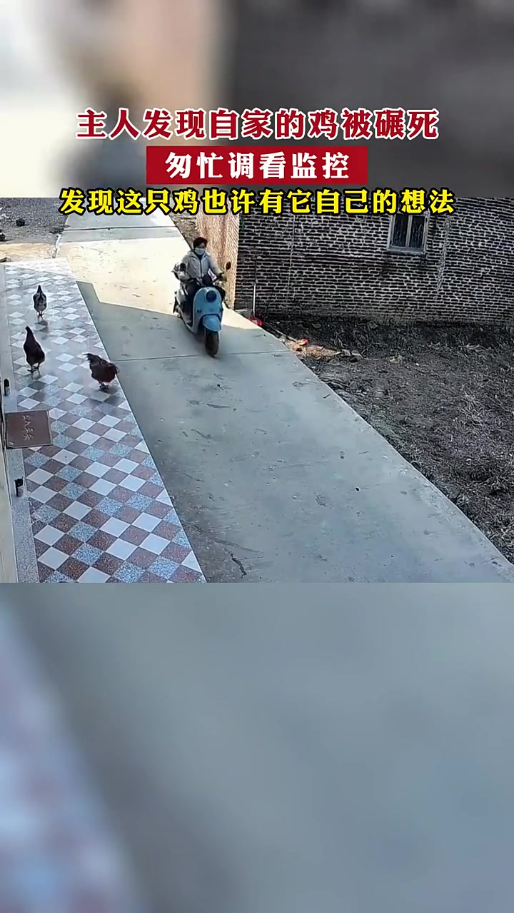 这是碰瓷的，还成功了。