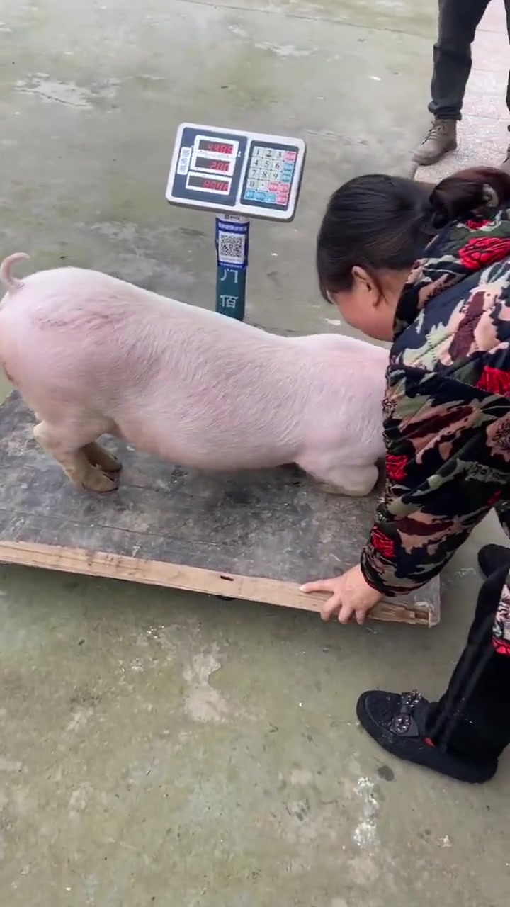 熟练的让人心疼
