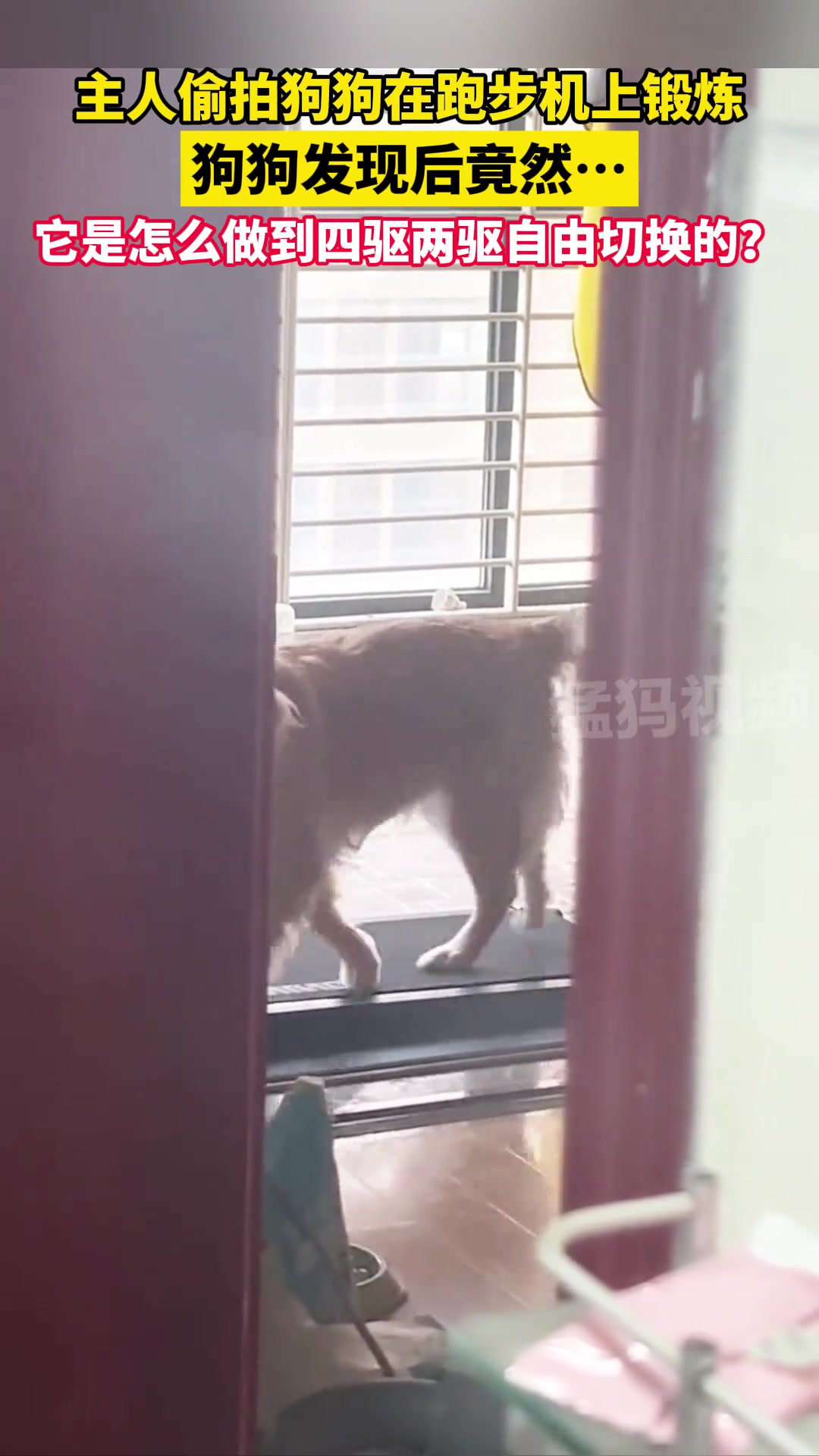 它是怎么做到四驱两驱自由切换的？