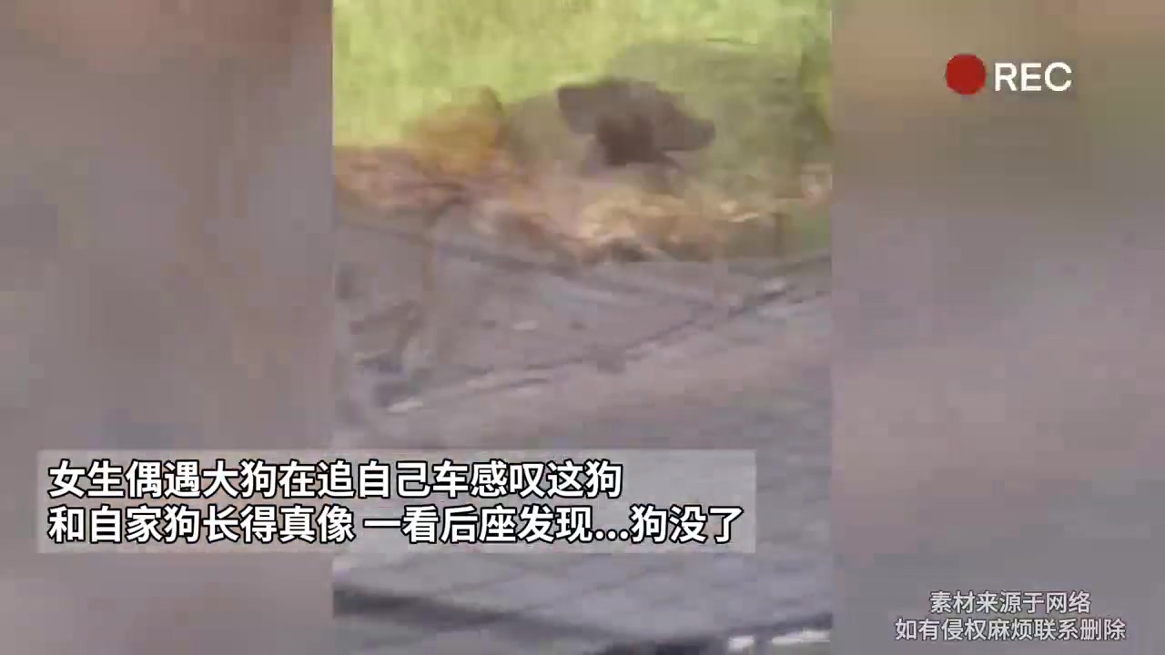 怎么能这么像