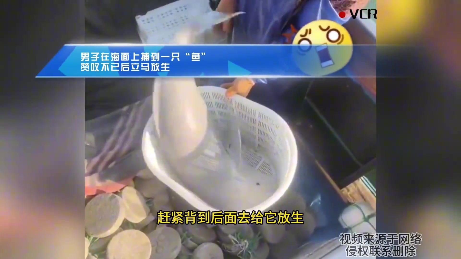 抓到一条鱼后幸亏及时放生