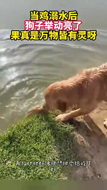 狗子：通过自己努力得到的才是最香的