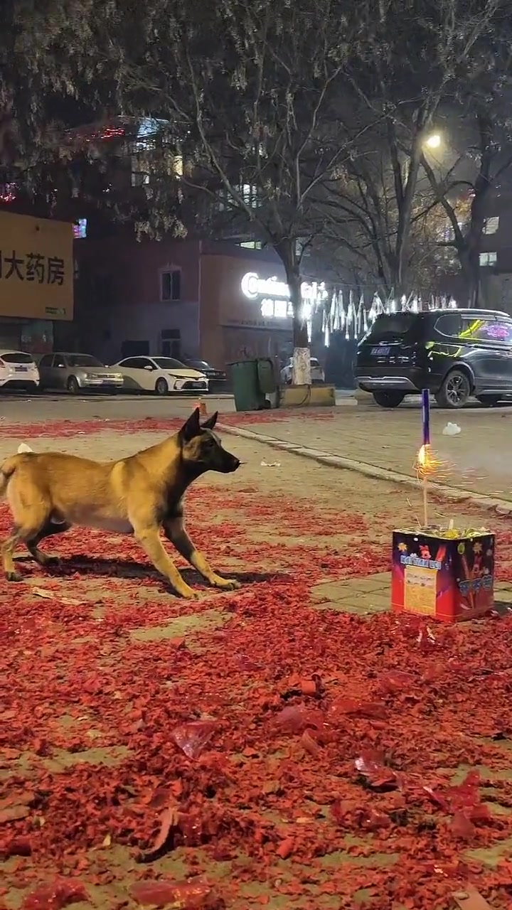 随时处于战斗状态