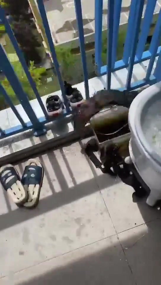 鱼还挺倔的，宁死不从啊