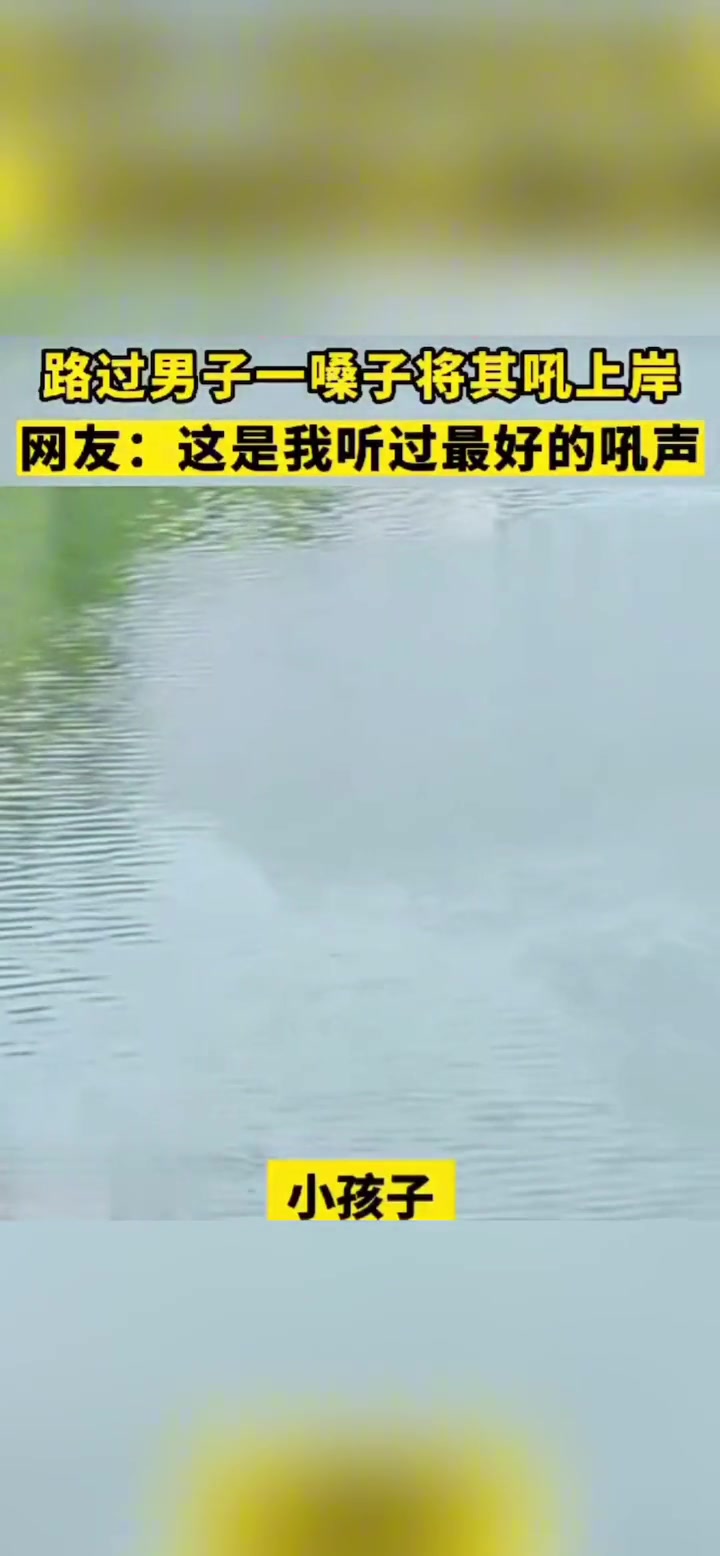 三个小朋友在河边玩水 路过好心男子将他们吼上岸