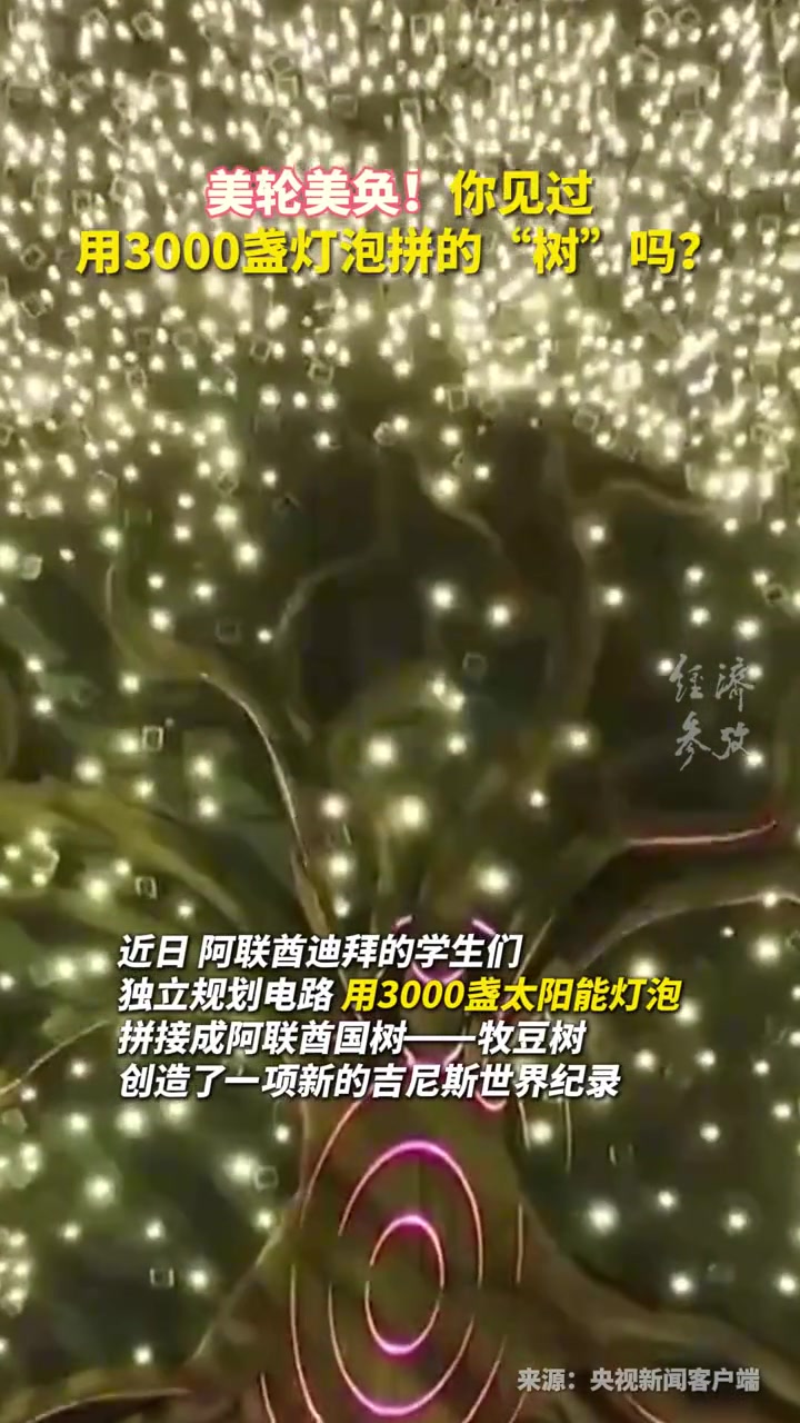 美轮美奂！你见过用3000盏灯泡拼的“树”吗？