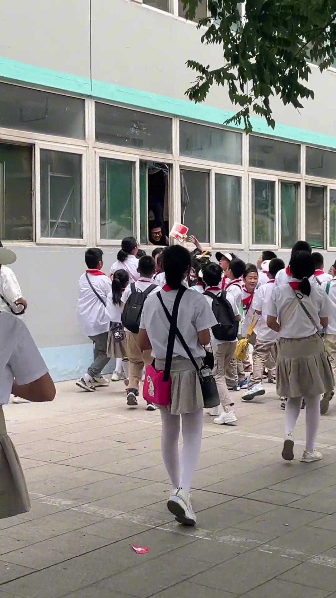 两群最可爱的孩子碰到了一起