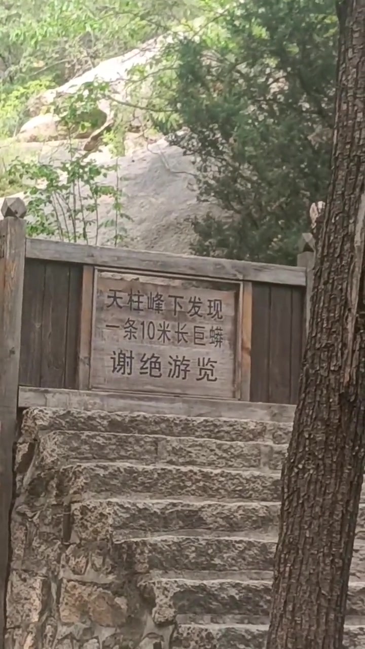 你说有蛇我转头就跑，但是你要说有十米的蛇，我高低得去看看