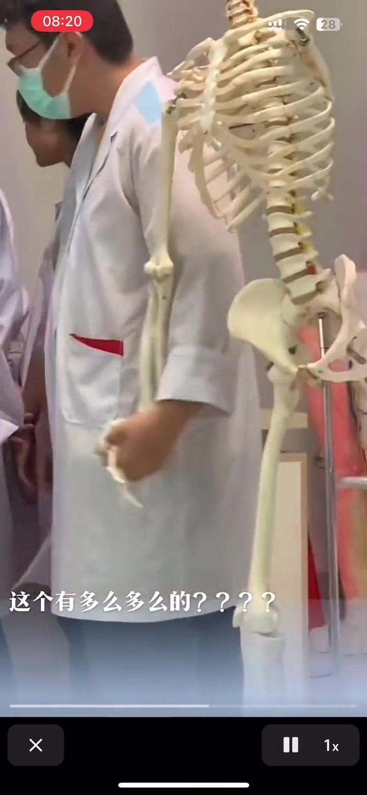 老师讲课你不听，上课调戏白骨精！