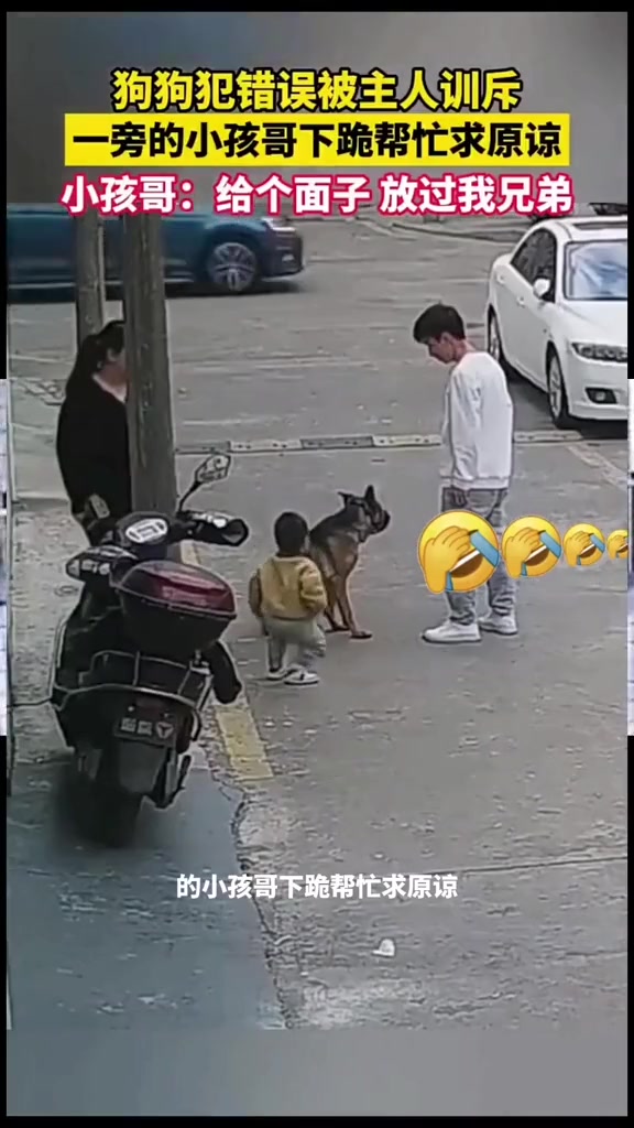 熊孩子超够义气，长大必然前途无量
