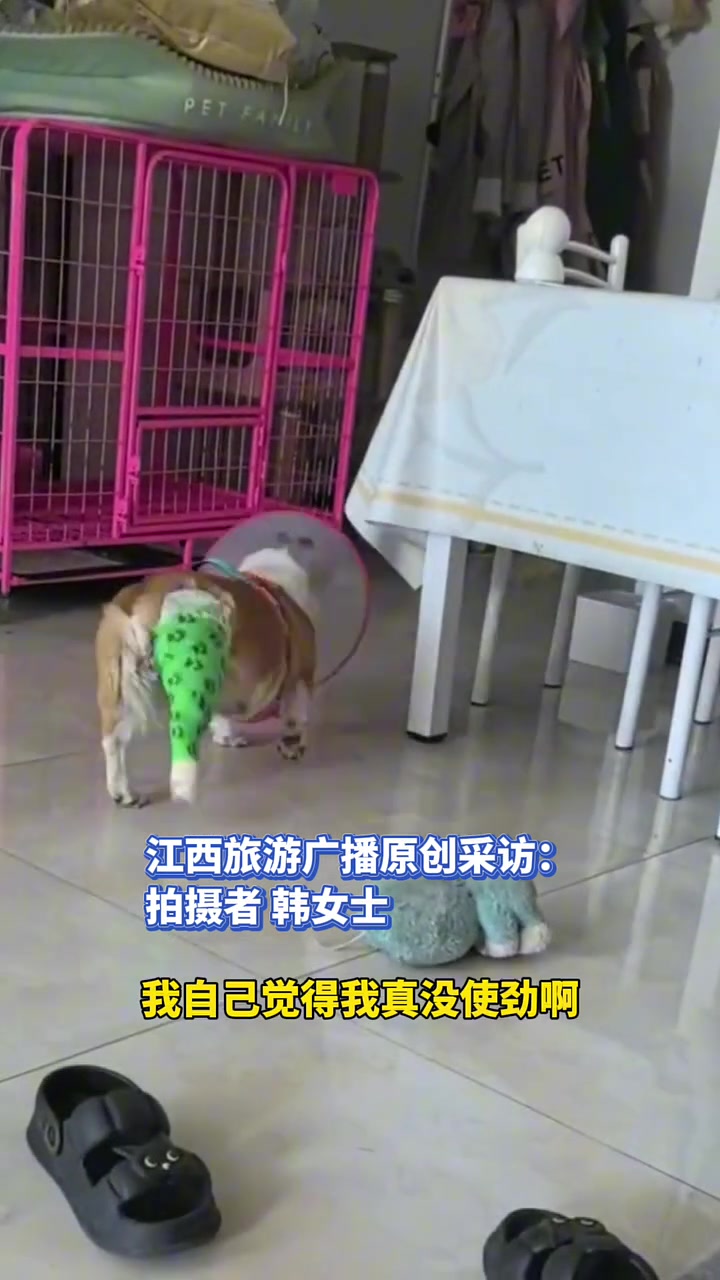 你这一锤可是有30年的功力？？