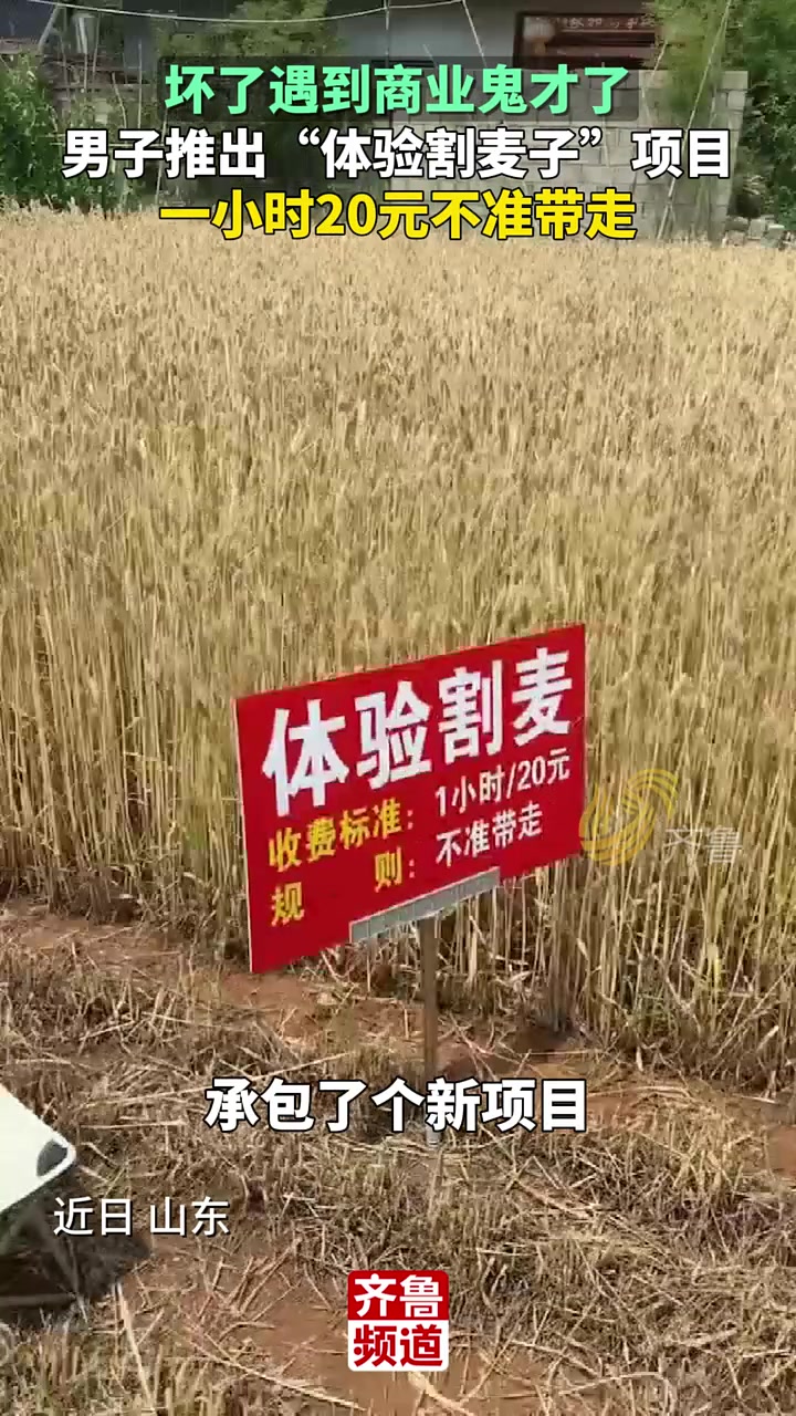 坏了，遇到商业鬼才了