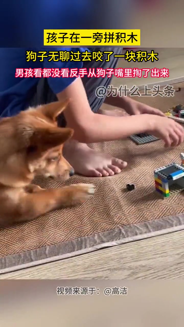 一看就是惯犯！