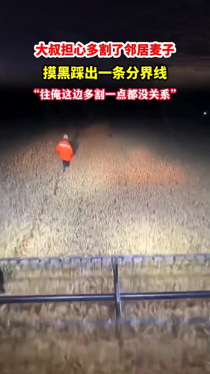 大叔怕割到邻家麦子，摸黑在收割机前踩出一条分界线！