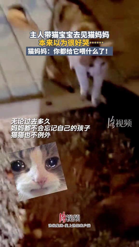 你为什么带一个半挂给我？