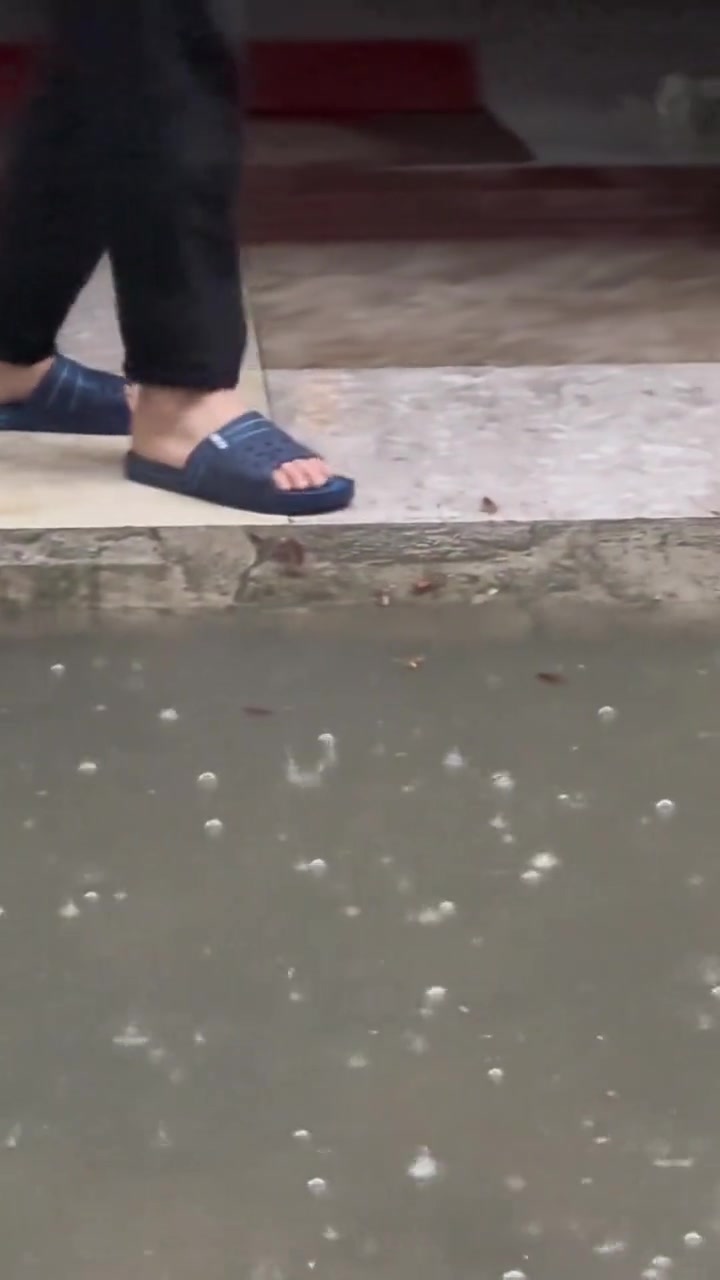 “小强”的名字不是随便取的，海陆空三栖啊