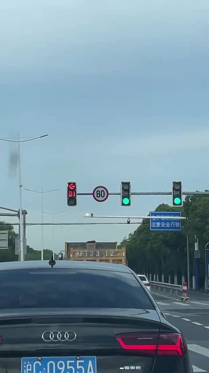 这红绿灯啥情况，把奥迪哥骗得一愣一愣的