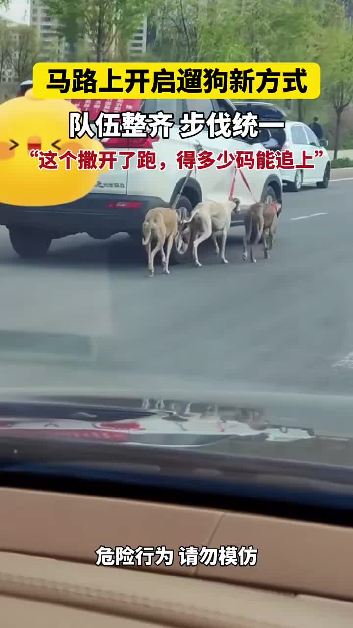 这样遛狗多久能达到运动量？