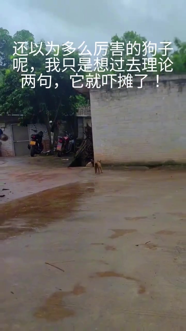 以为高低是个钻石，没想到连青铜都算不上