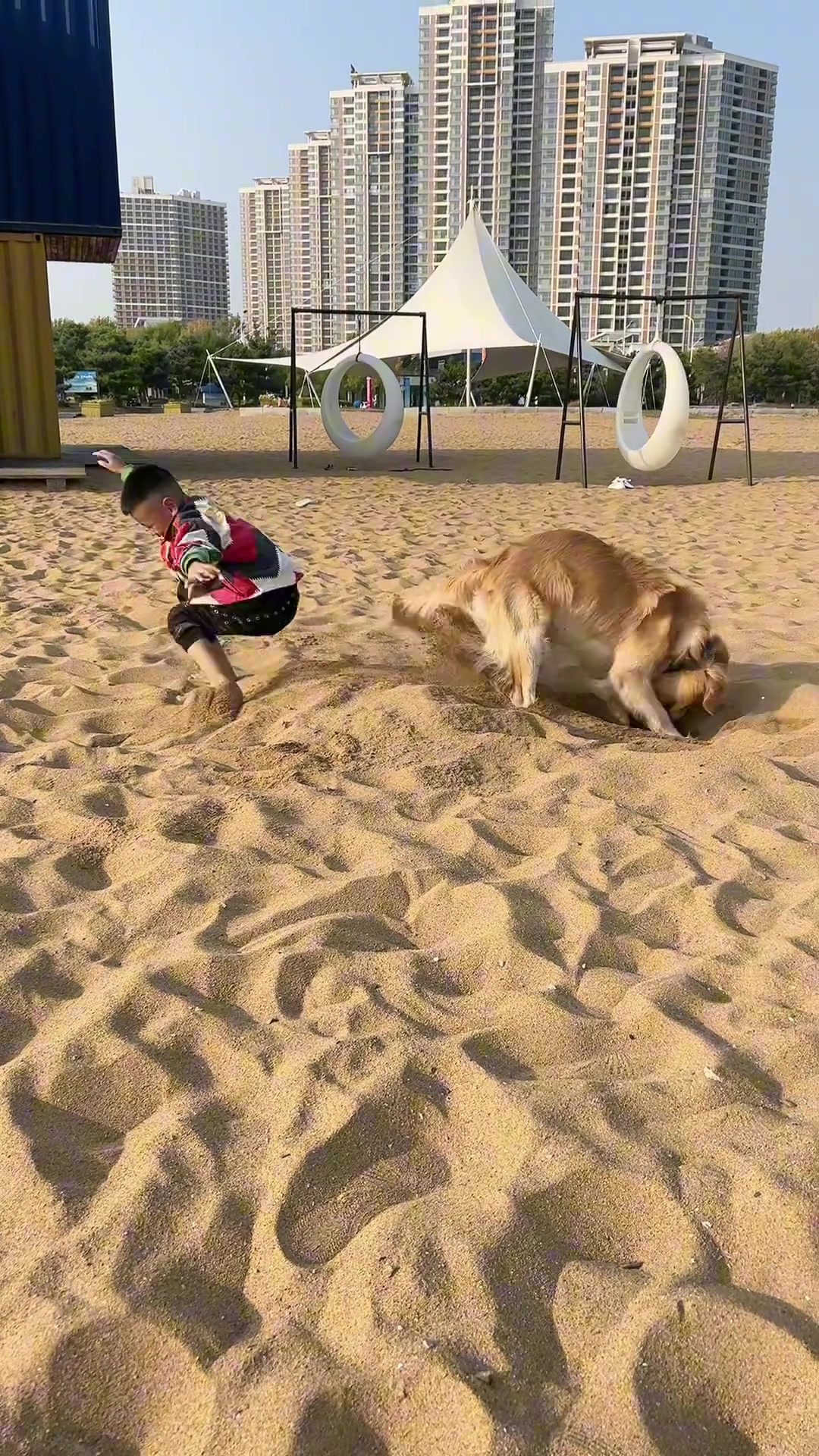 这得有多大的仇恨呀…… 哈哈哈