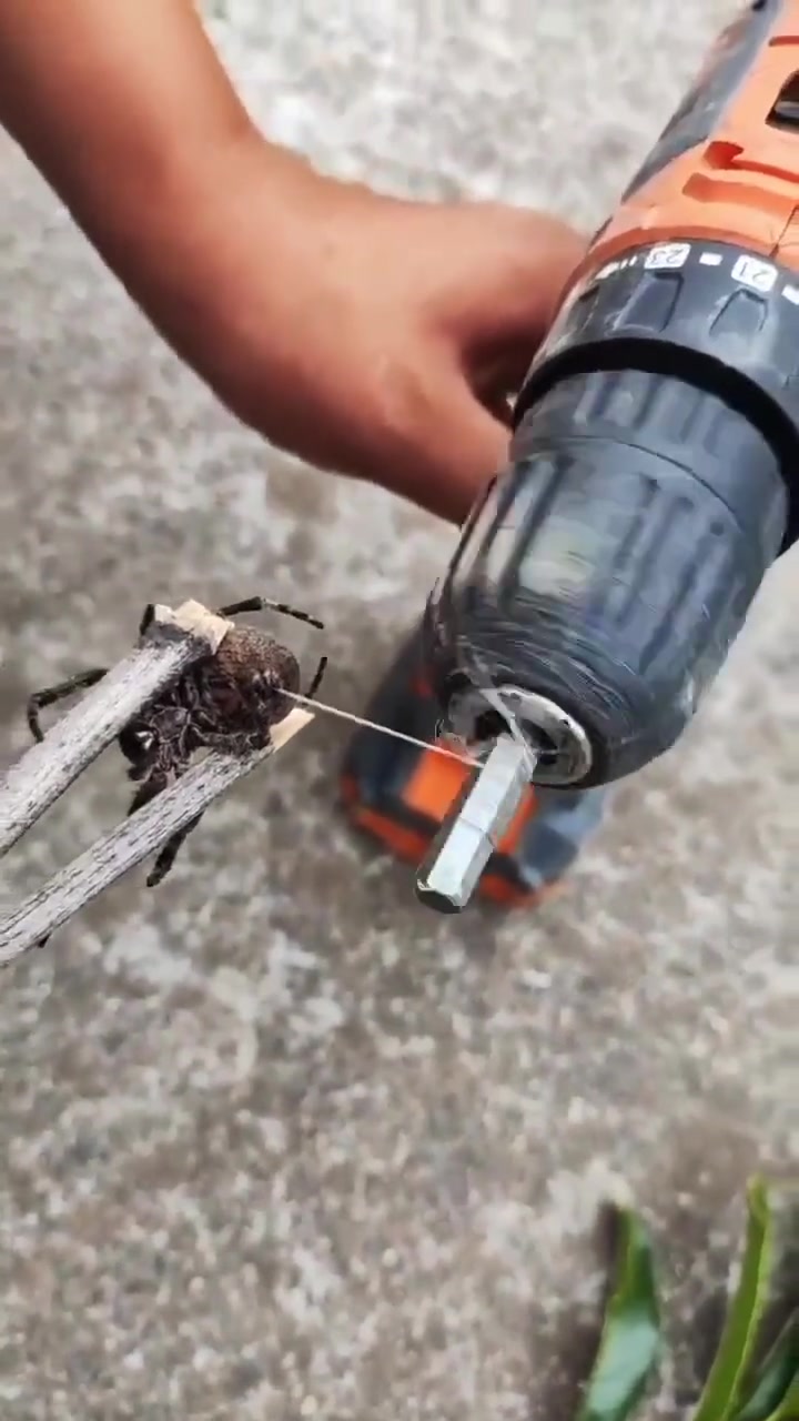 蜘蛛：有一种从身体抽离的感觉