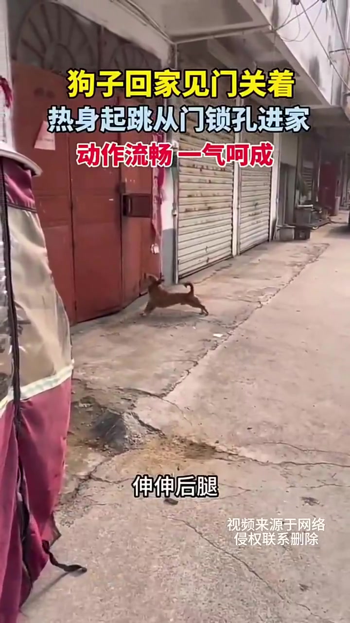 动作娴熟 一气呵成