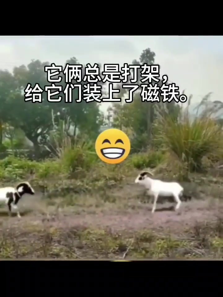 有一股神秘的力量