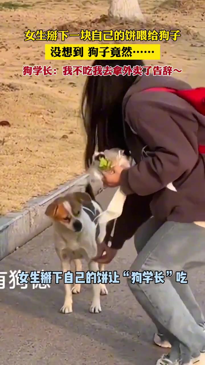 真 狗都不吃