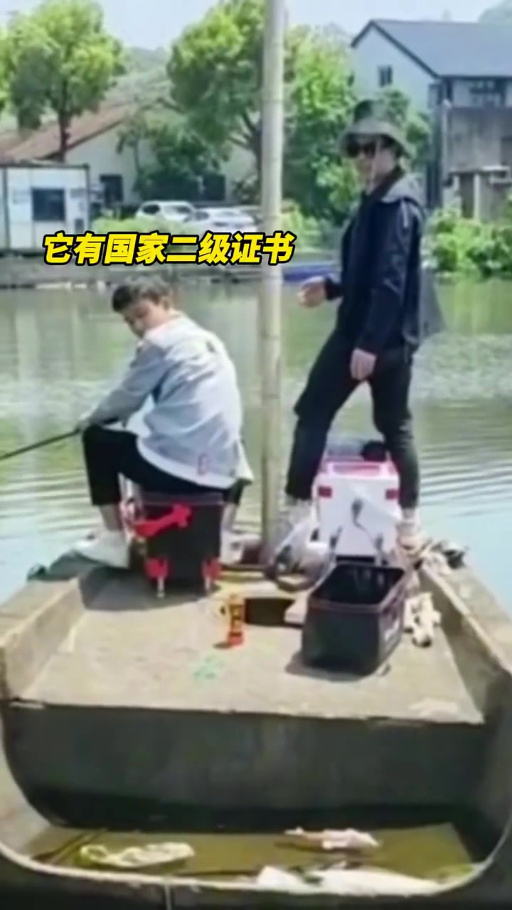 但凡钓得到大鱼它都得不辽逞