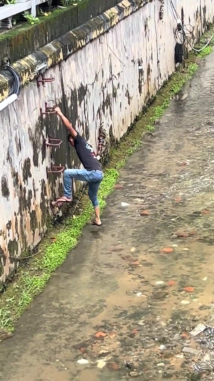 他只是抢救了一条快淹死的鱼