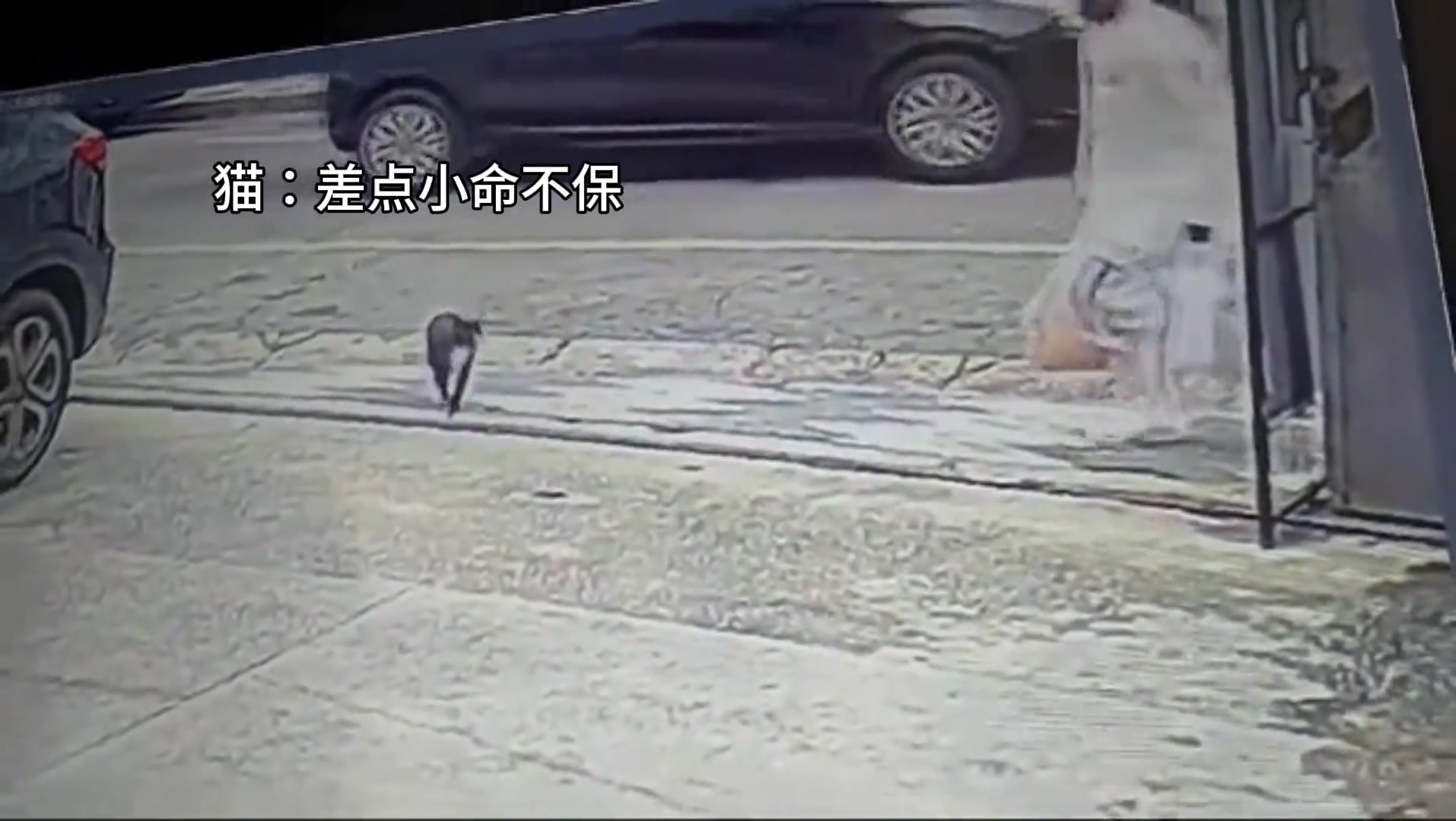 大难不死，必有后福