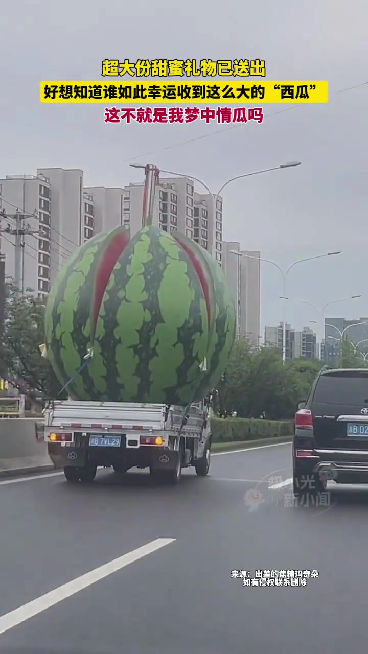 超大份甜蜜礼物已送出，谁如此幸运，收到这么大的西瓜