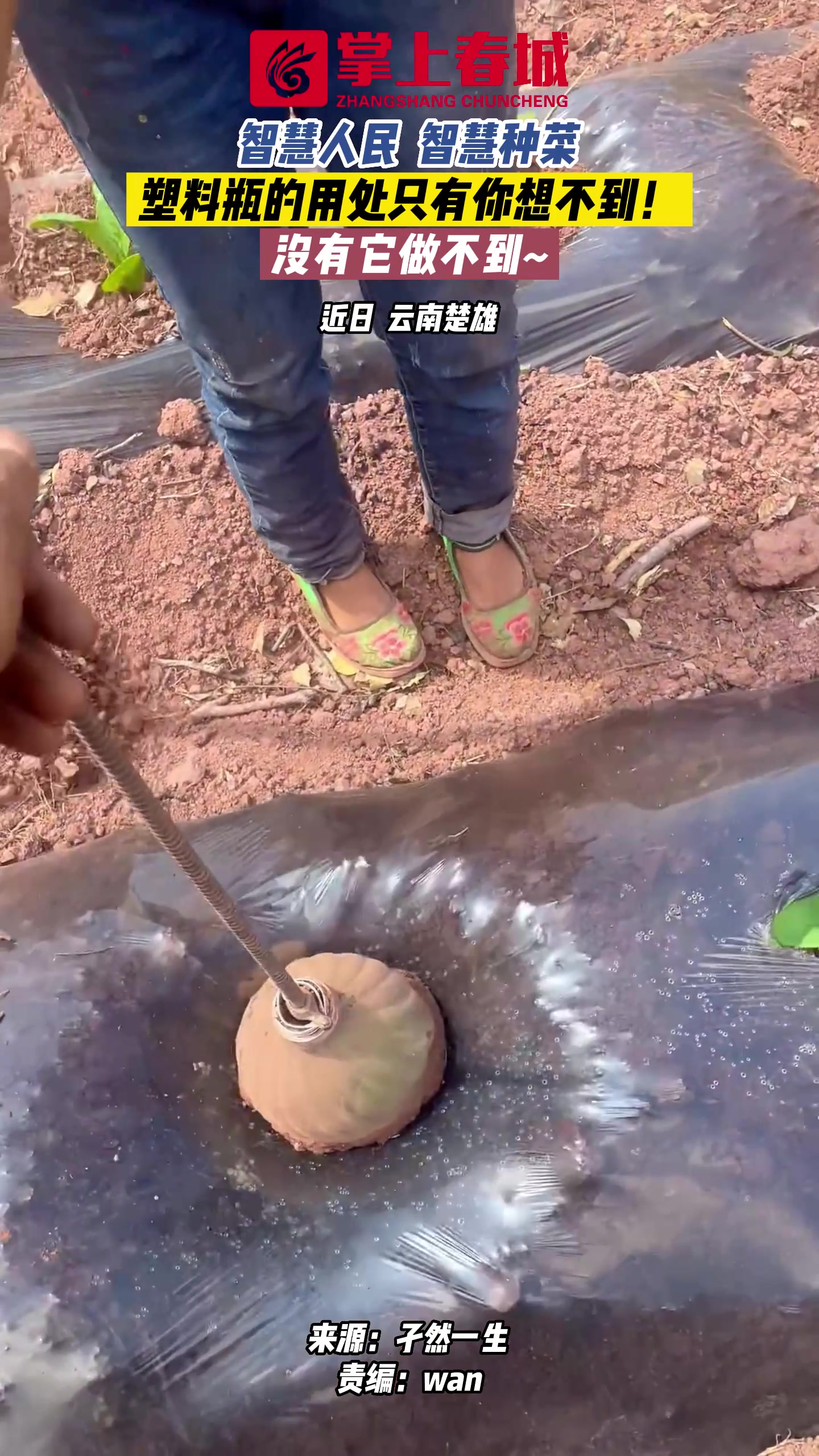 劳动人民最智慧！原来还可以这样种！