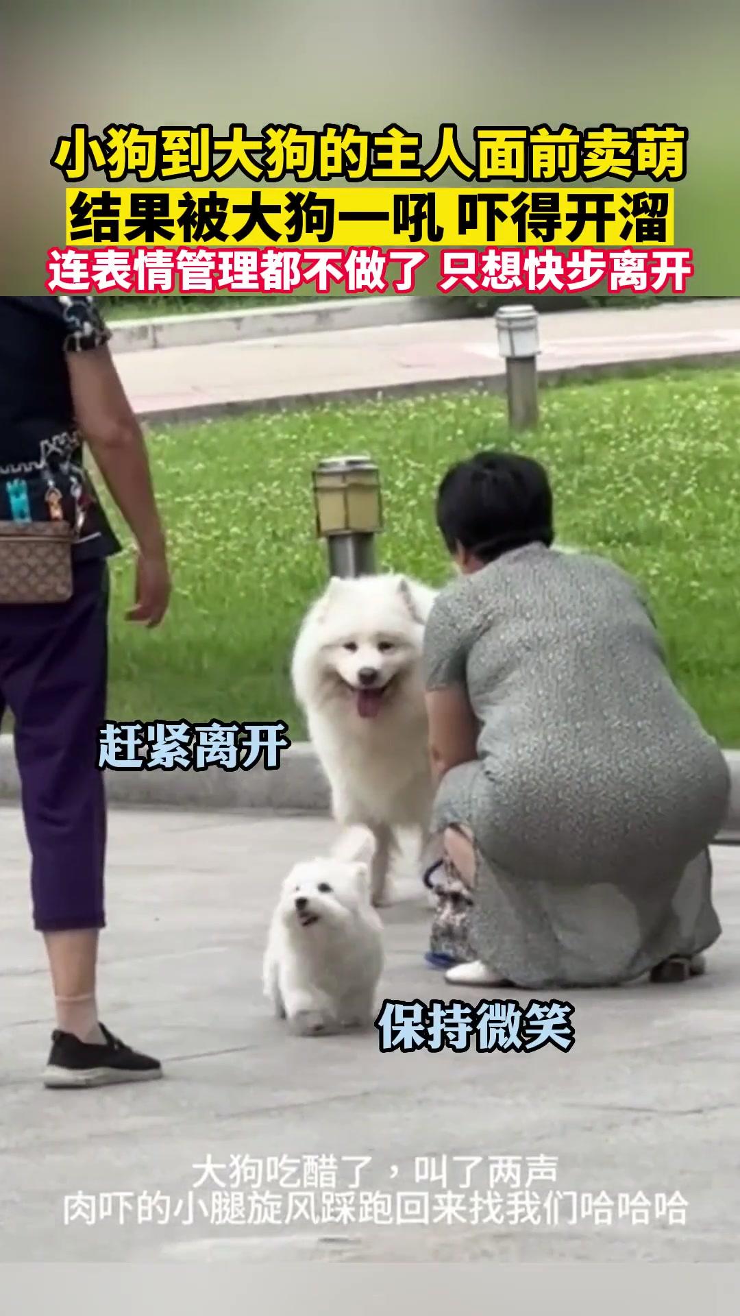 他是张飞！你一定就是夏侯杰吧！
