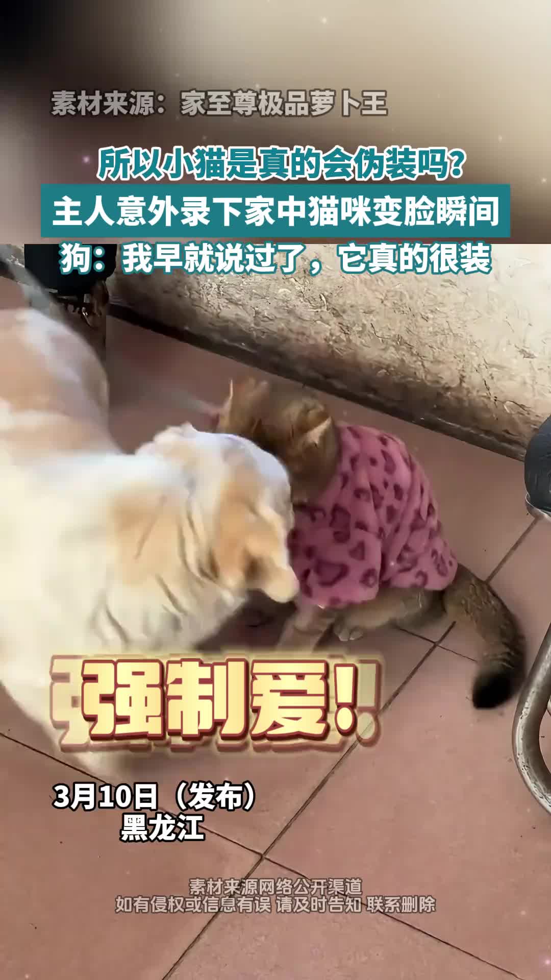 原来哥哥还在啊！那我就不凶凶了！