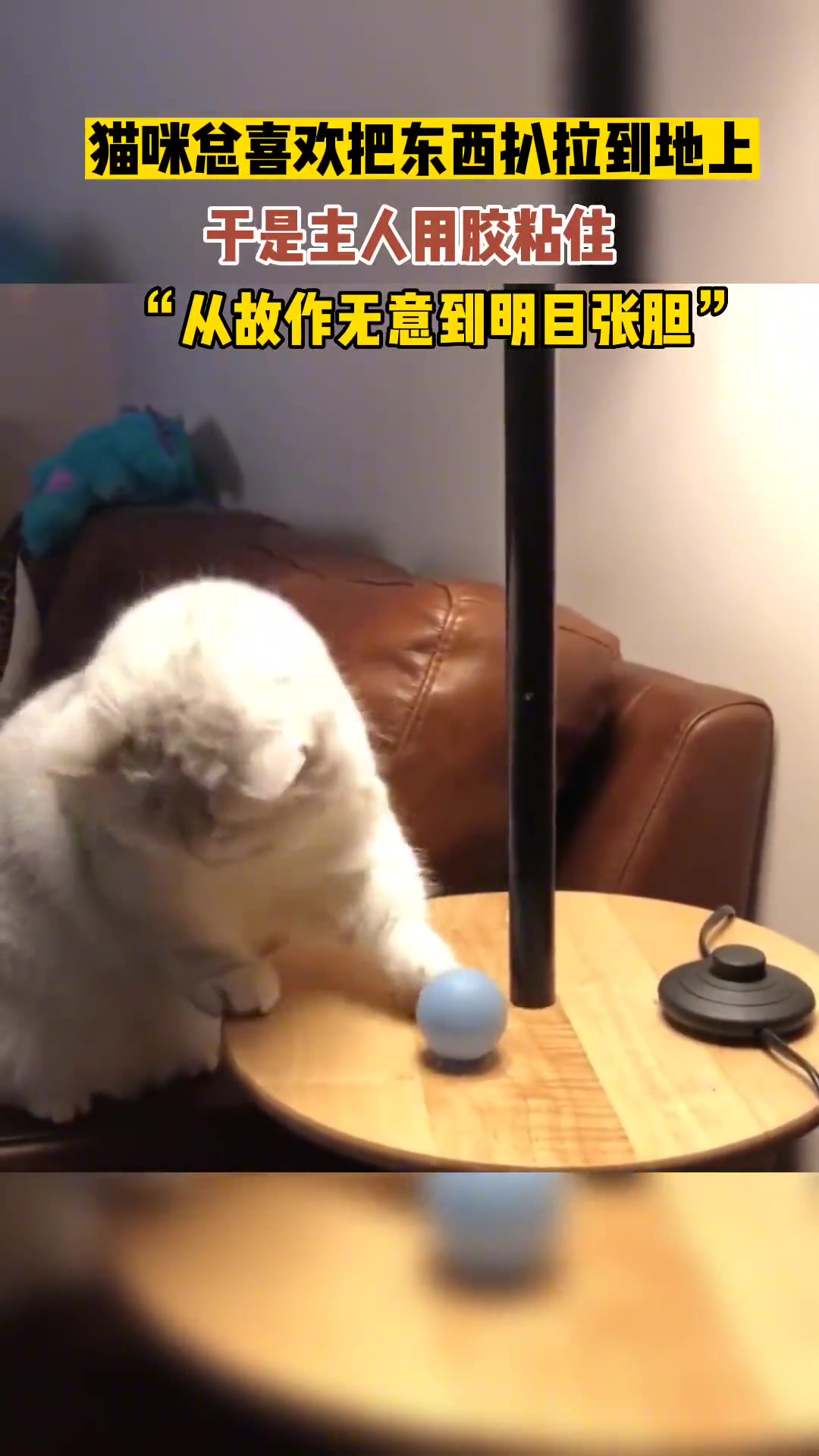 看你还扒拉不！
