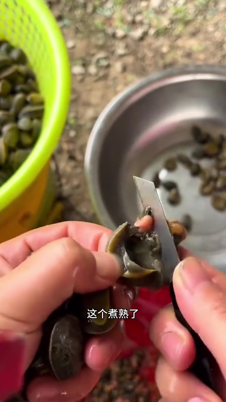 这是什么，感觉像鲍鱼