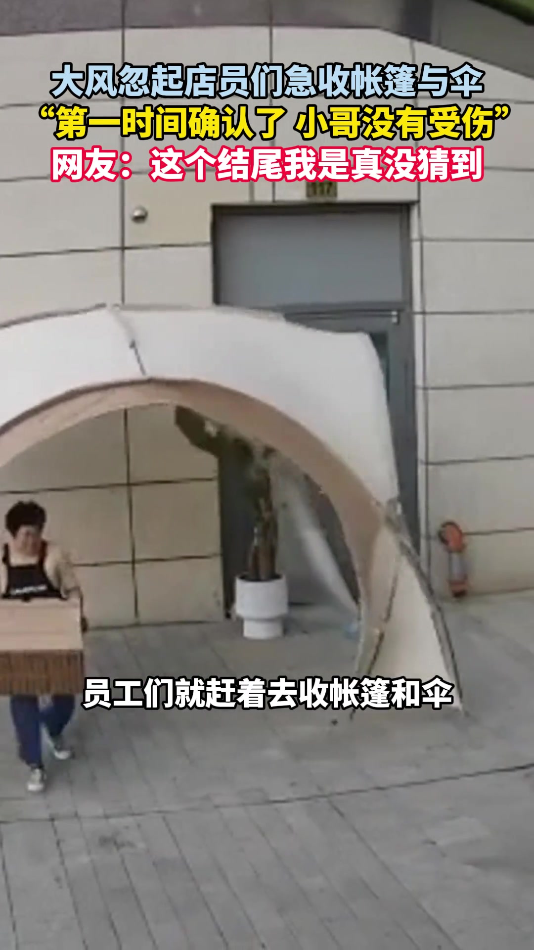 这个结尾我是真没猜到的 ！